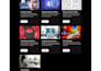 be your professional wordpress developer for any website